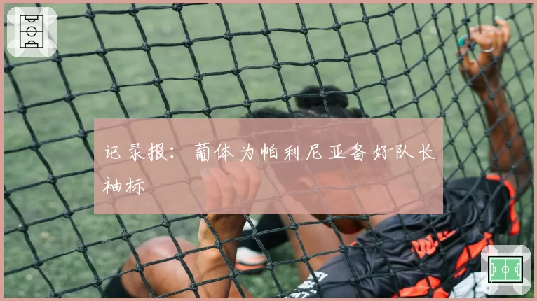 记录报：葡体为帕利尼亚备好队长袖标